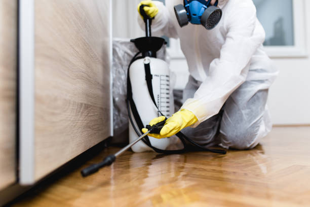 Best Pest Control for Homes  in Beverly, NJ