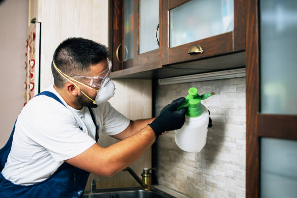 Best Mosquito Control Services  in Beverly, NJ