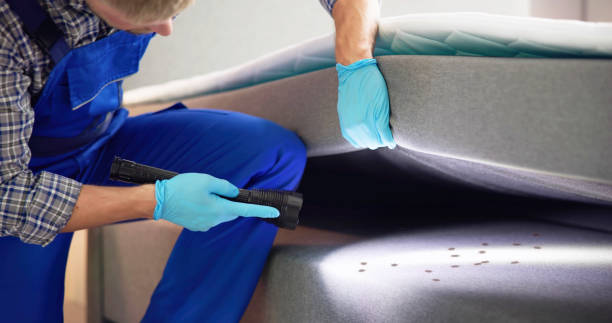 Best Termite Control Services  in Beverly, NJ