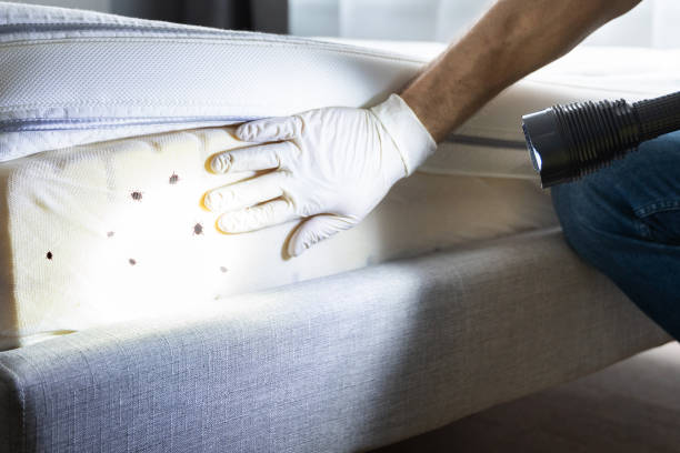 Best Pest Control Near Me  in Beverly, NJ