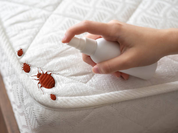 Best Exterminator Services  in Beverly, NJ