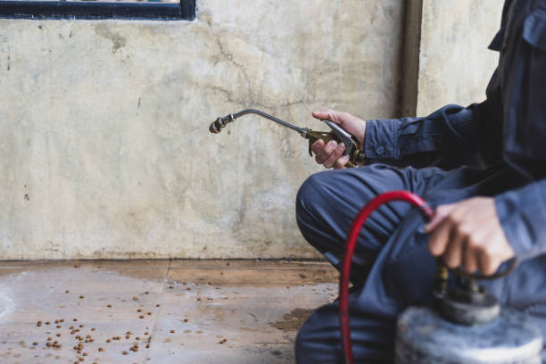 Best Best Pest Control Companies  in Beverly, NJ
